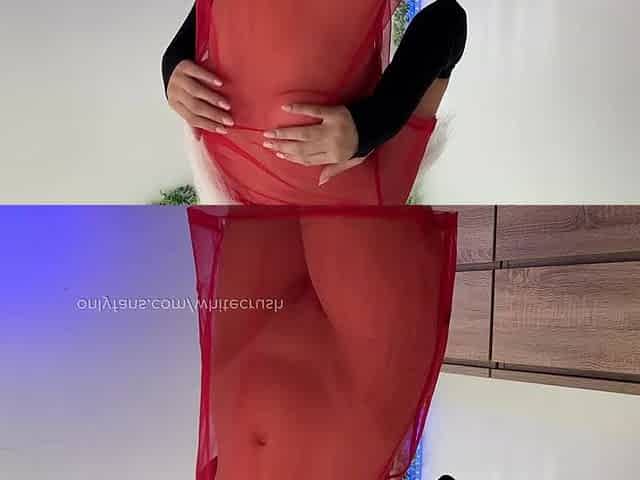 Transparent Costume Try On Haul - No Underclothing