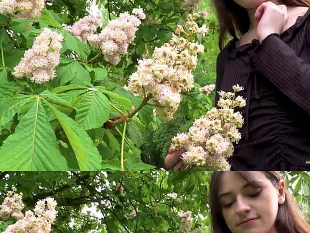 Sex In The Garden With Lilith Madness