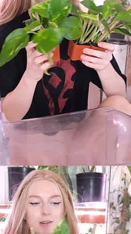 Peeing While Repotting