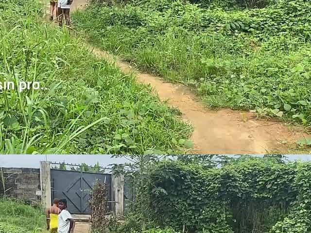 Naughty African Teen Showcasing Their Asses in Broad Daylight