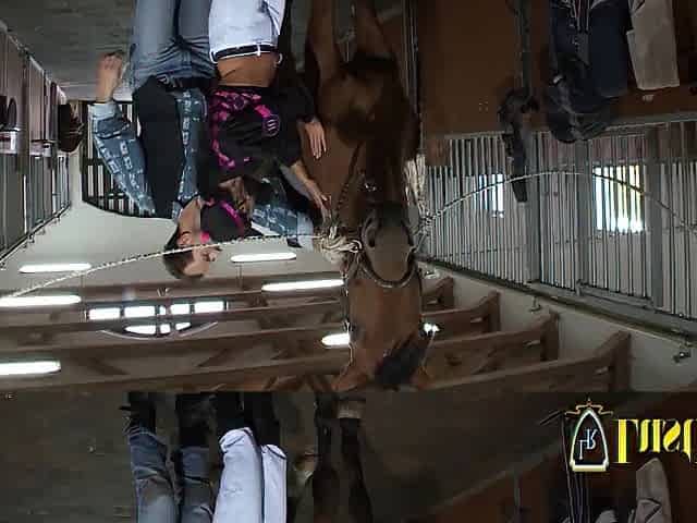 Amazing slut fucks stable boy