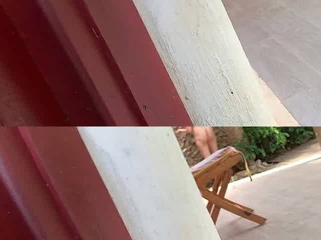 My neighbors are taking a shower on the patio. I get to go there to watch it up close