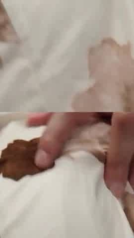 Two-stage Ntr Creampie. I Became a Slut of My Husband S Boss S Finger Techniques. 1