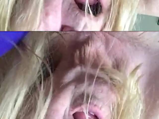 GRANNY LOVES COCK a compilation