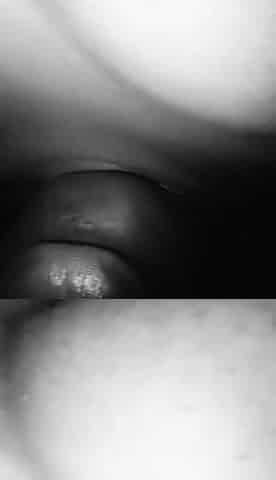Fucking He From Morning Till Night