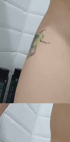 Pee in the Bathroom and Tits Teasing