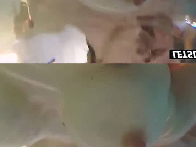 This guy Bent Me Over the Pool Edge and Stretched My Twat Underwater