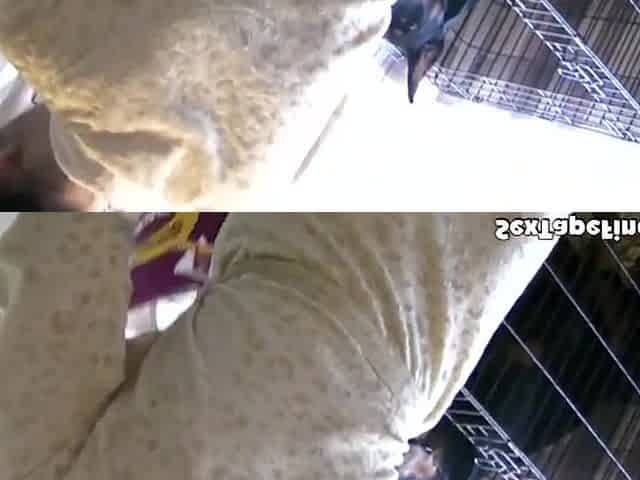 Janice gets tits out in POV while gobbling cock