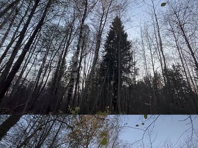 Charming hardcore masturbation in forest