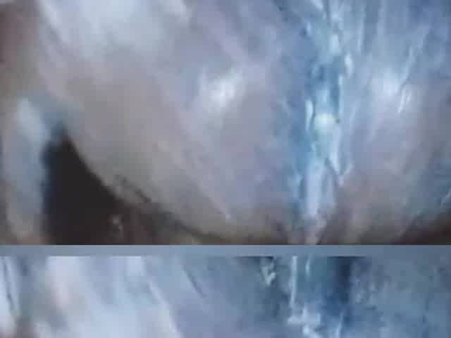 ICE CREAM ON MY BUTT