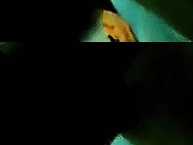 Malaysian Couple's Passionate Sex Tape