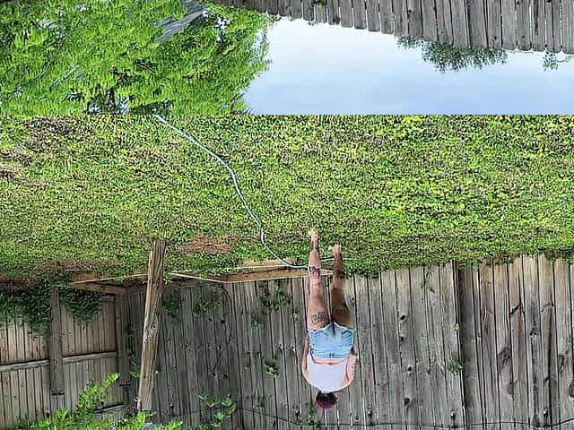 The Concupiscent Gardener
