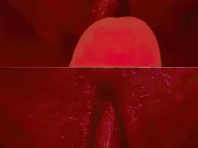 OVERWEIGHT MOIST CUNT GRINDING ON WHITE WEENIE!!!