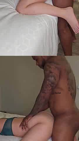 Hung BBC Bull Breeds My Pussy in My Hotel Room