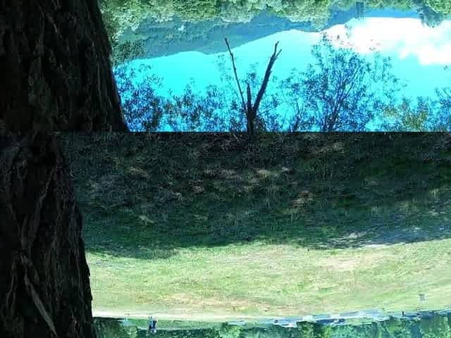 Public Picnic BJ and Anal with a Big-Ass Amateur