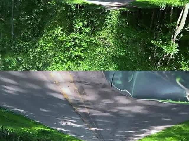 Gave Her a Creampie in Nature (nearly Caught)