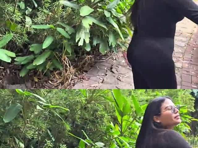 I suck a stranger's shlong in a public park