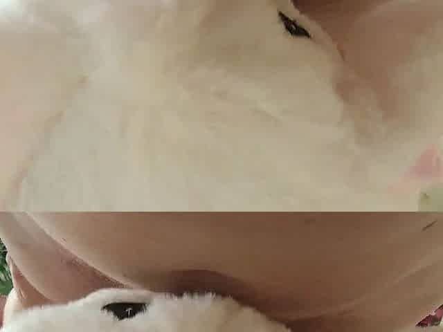 Sucking her spouse's shaggy penis - home yiff style