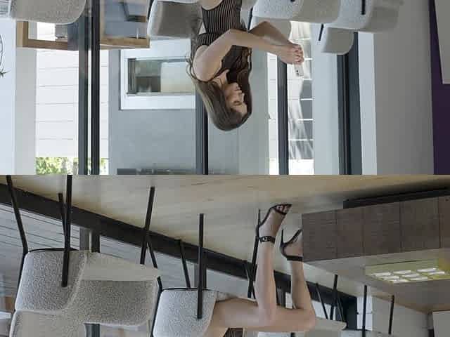 Perfect Lines - Bella Donna