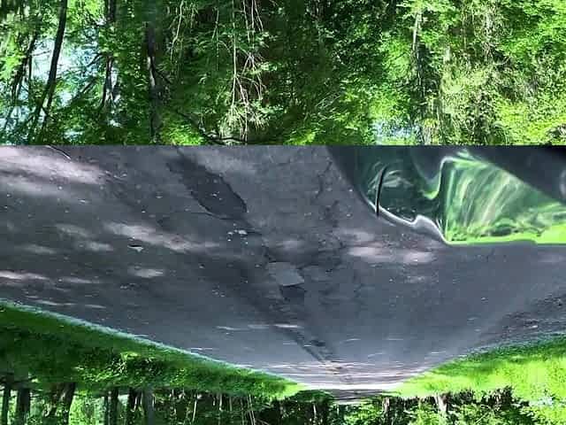 Gave Her A Creampie In Nature (Almost Caught)