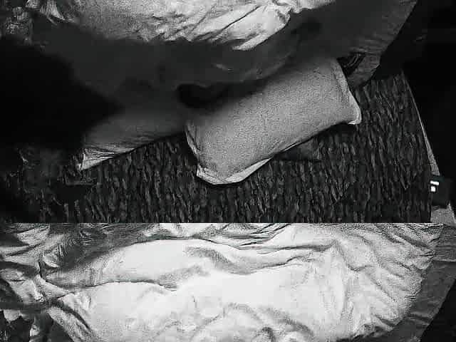 Horny fat arab housewife fingered on amateur hidden cam