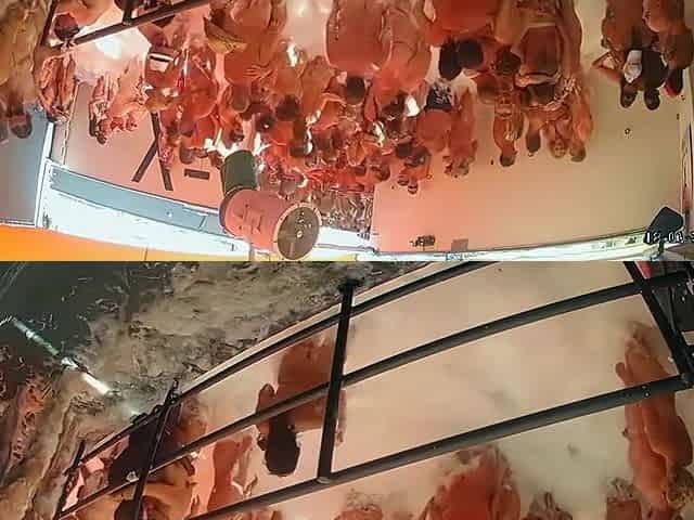 glamourous french swingers club 019