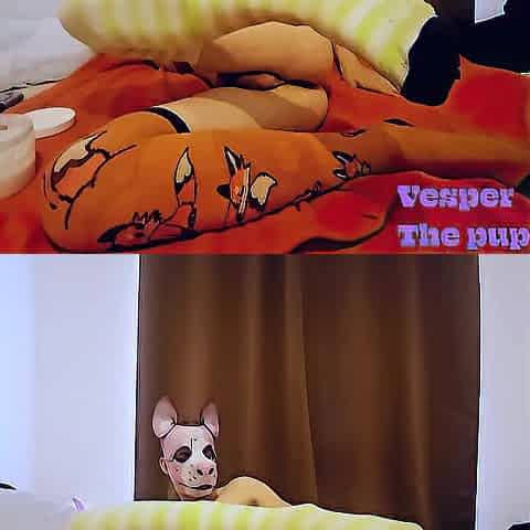 Puppy beauty rails herself with a sextoy
