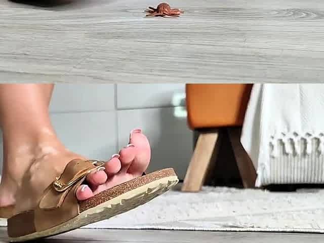 Maitresse Madelines solo foot fetish POV