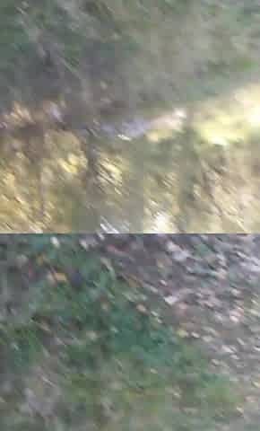 I walking in public place and stroke cruising in the park