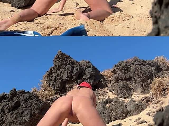 Doggy Pee on the Public Beach