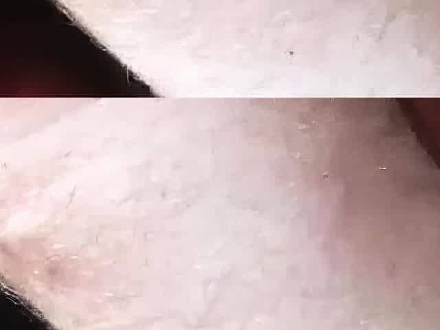 Kinky Teen Sucks Balls and Cock