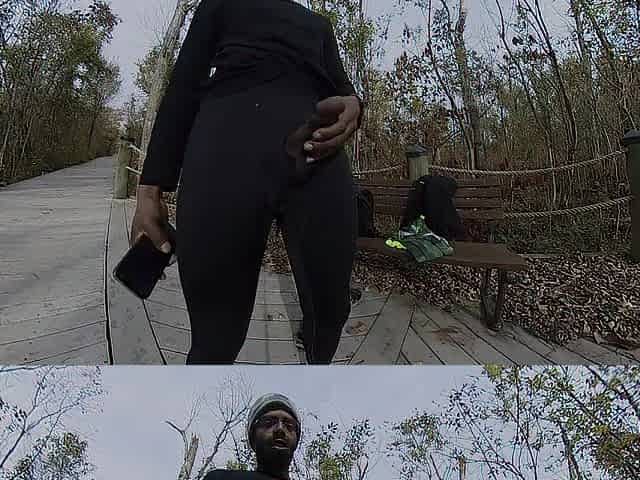 Public masturbation at the park