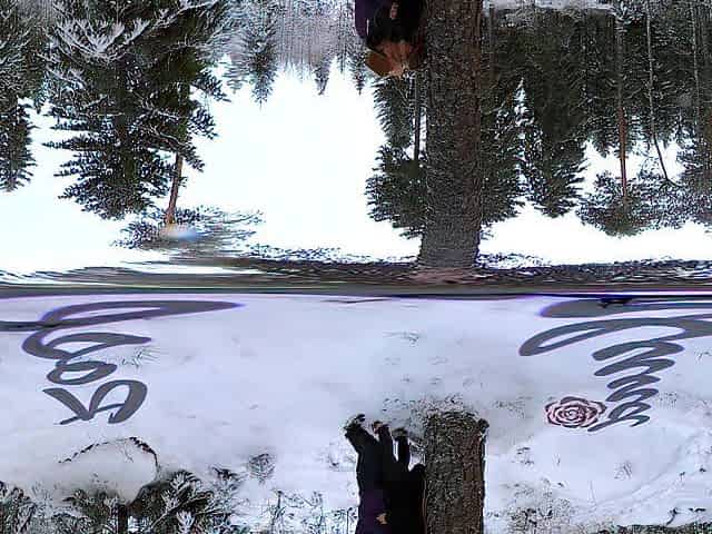 Sex in the winter forest during the time that the snow is falling - RosenlundX - VR 360 - 5,7k 30fps