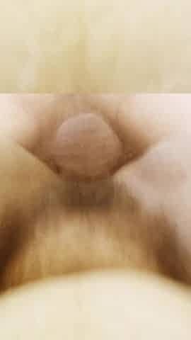 Doggy Style, Fucked by a Stranger, Without a Condom, a Special Perspective