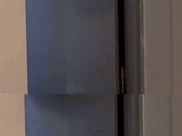 Hot Asian Japanese Hardcore Oral Fuckshow