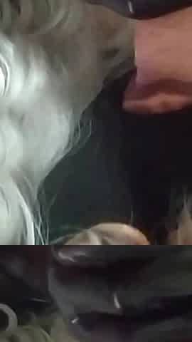 Big-titted Slut Enjoys Sucking Three Cocks That Fill Her Mouth with Lots of Hot Cum.