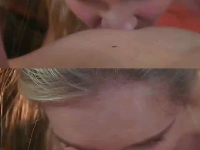 Busty Blonde Secretary Shakes Her Massive Ass in the Office