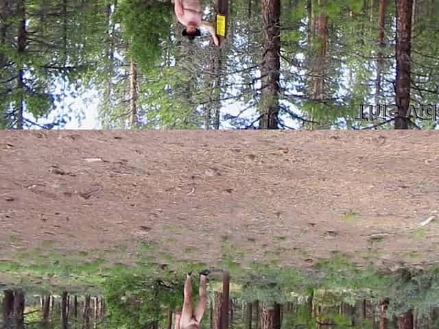 Simscristian05 - update #120 - IN NATURE'S GARB AT THE CAMPGROUND ENTRANCE - SHEER - Jul 27, 2025
