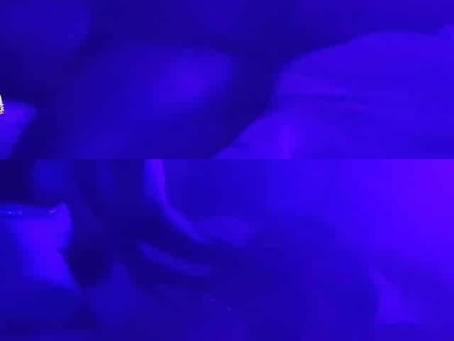 Fleshly oil massage