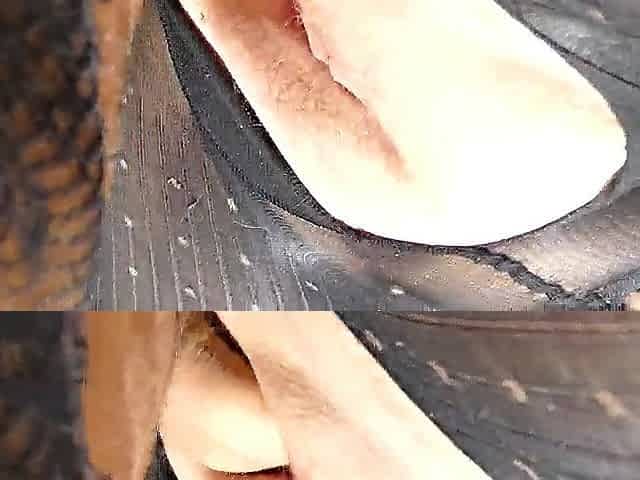 Closeup amateur fat mother I'd like to fuck little squirting