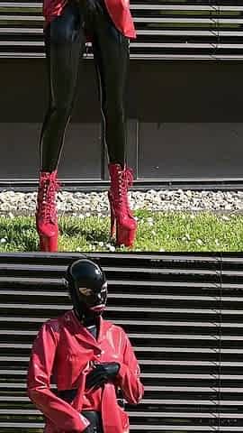 Red Latex Springtime