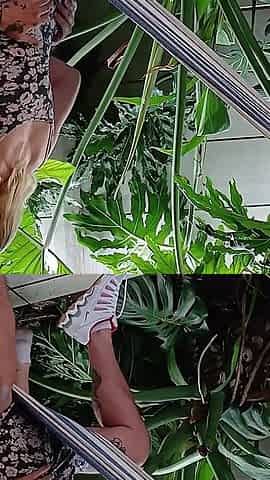 Hawaii Fuck Outdoor with Small Petite Hawaian Blonde