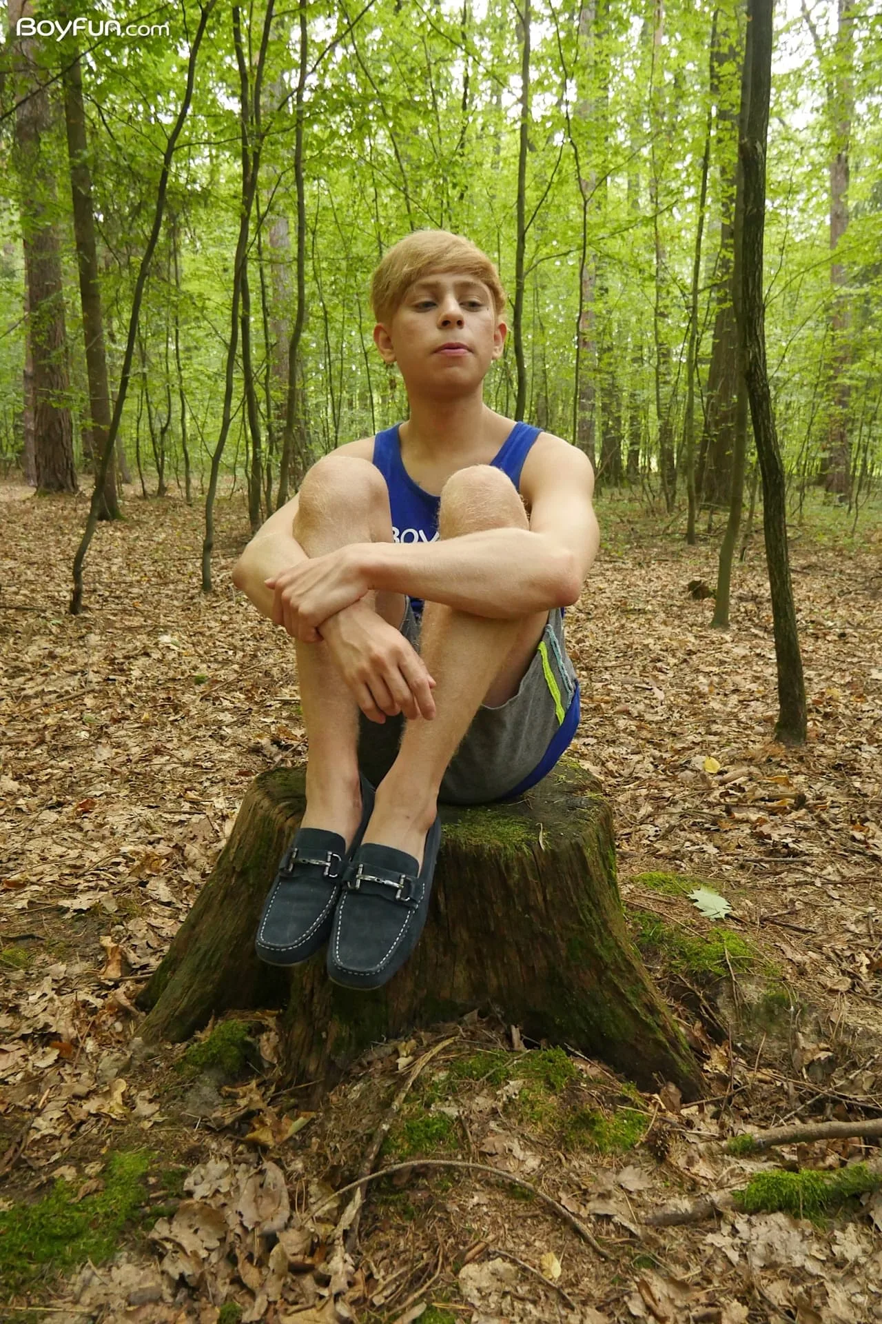 Forest